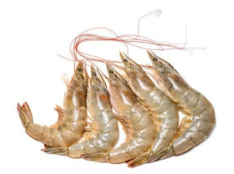 Ecuador Prawns 1.6kg