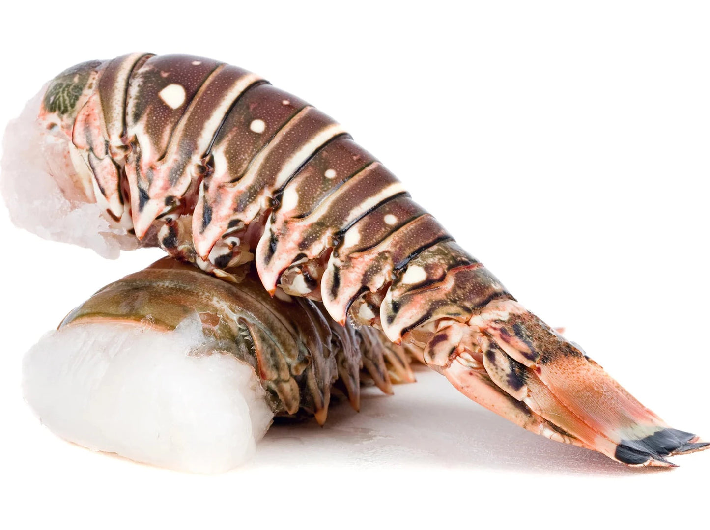 Lobster Tails