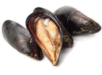 Fresh Mussels