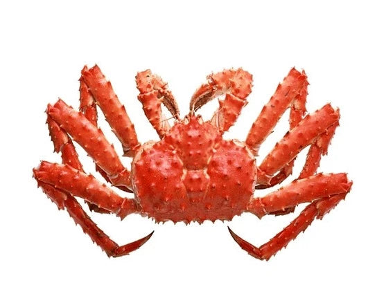 King Crab